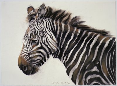 Zebra, 2002 (kol  krita) av Odile Kidd