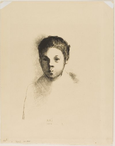 Också av Odilon Redon