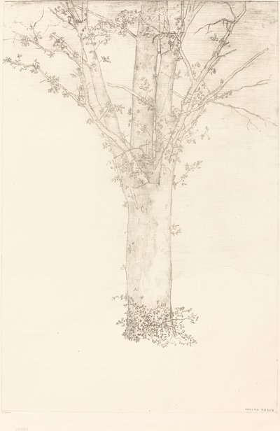 Träd av Odilon Redon