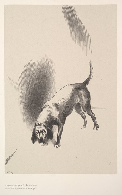 Han fäste blicken på mig med ett uttryck som var så konstigt, 1896. av Odilon Redon