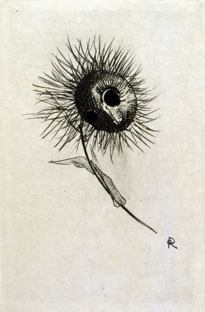Illustration för 
