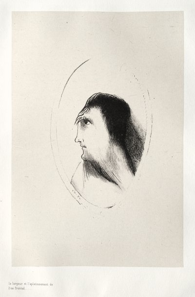 Frontalbenets bredd och planhet av Odilon Redon