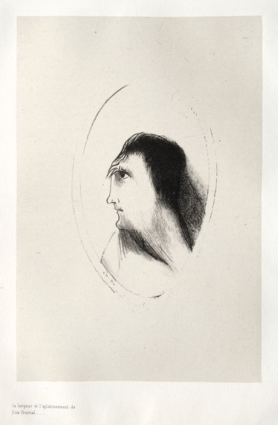The Haunted House: The Width and Flatness of the Frontal [Bone], 1896. av Odilon Redon