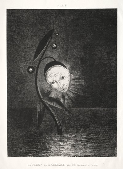 Träskblomman, ett sorgligt människohuvud av Odilon Redon