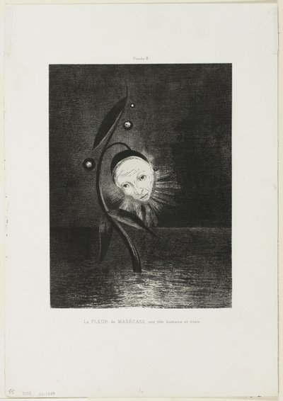 Marsh Flower, a Sad Human Head, tallrik 2 av 6 av Odilon Redon