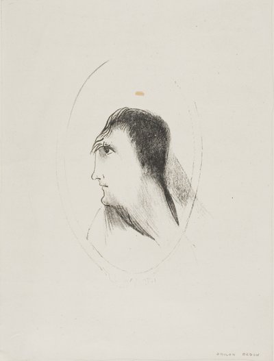 Bredden och planheten hos [det] frontala [benet], plåt 6 av 6 av Odilon Redon