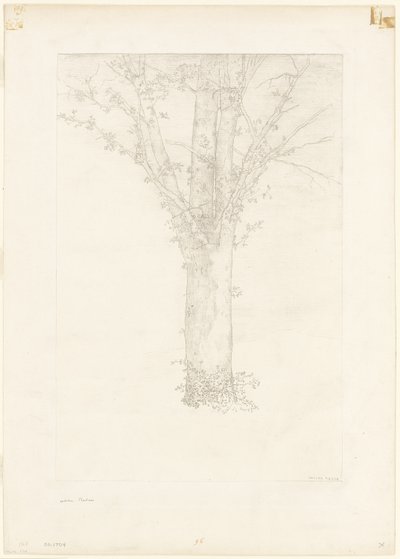 Träd av Odilon Redon