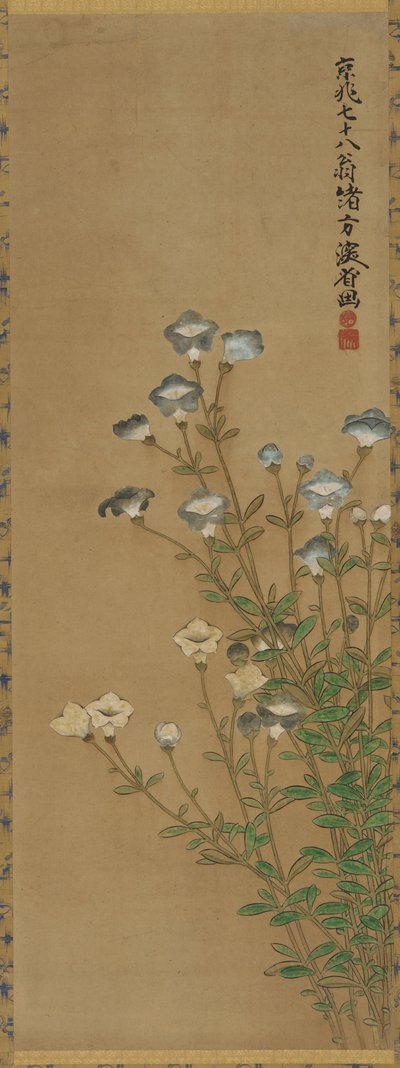 Blåvita blommor på smala stjälkar, Edo-period, 1700-1800-tal av Ogata Kenzan