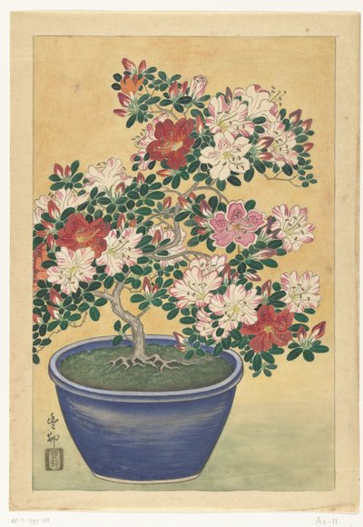 Blommande azalea i blå kruka av Ohara Koson (signed by artist)
