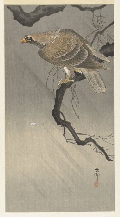 örn på gren av Ohara Koson