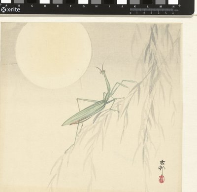 Bönsyrsa av Ohara Koson