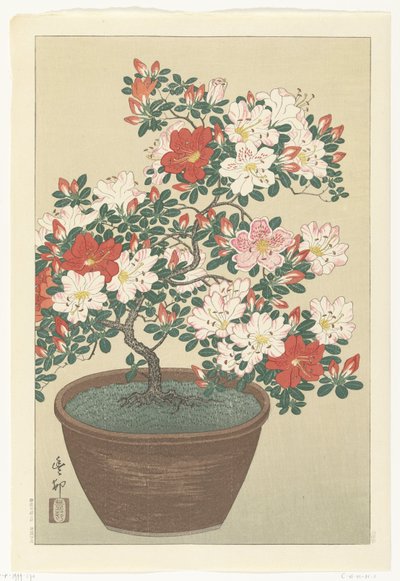 Blommande azalea i brun kruka av Ohara Koson