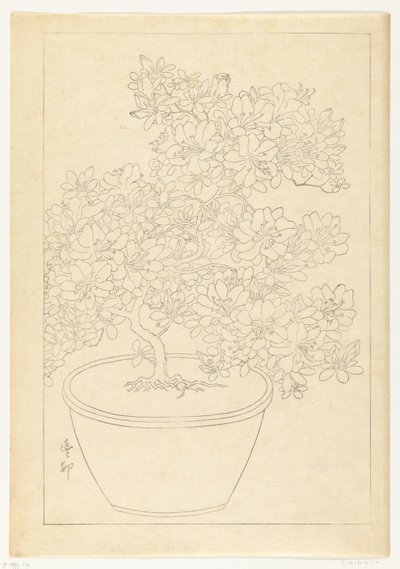 Blommande azalea i kruka av Ohara Koson