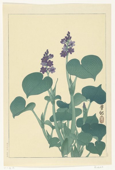 Blommande hostor av Ohara Koson