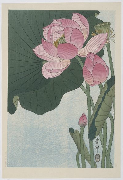 Blommande lotusblommor av Ohara Koson