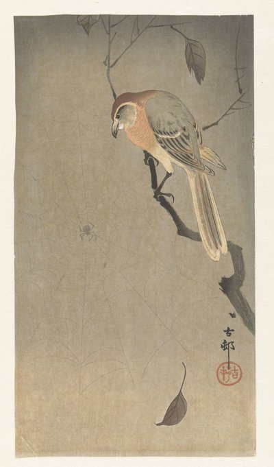 Buffalo head shrike och spindel av Ohara Koson