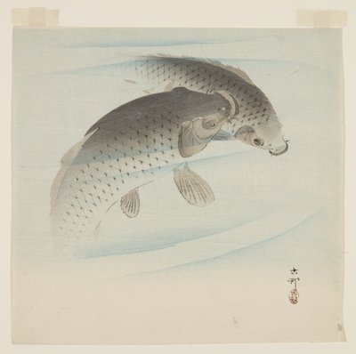 Karp (Koi) (trätryck i färg) av Ohara Koson
