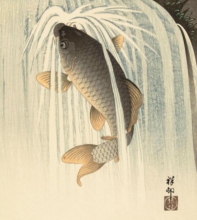 Karp under ett vattenfall, av den japanska konstnären Ohara Koson av Ohara Koson