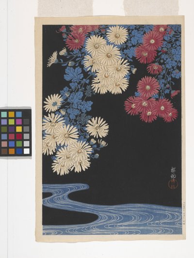 Chrysanthemums And Stream (trätryck i färg) av Ohara Koson