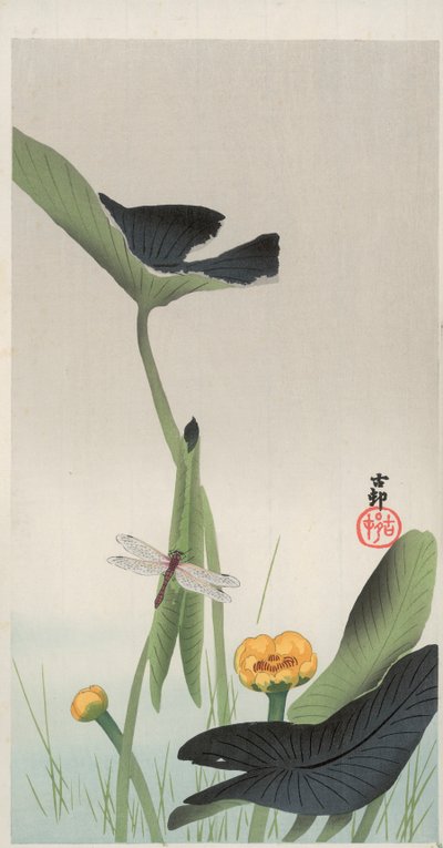 Dragonfly and Lotus (träblock i färg) av Ohara Koson
