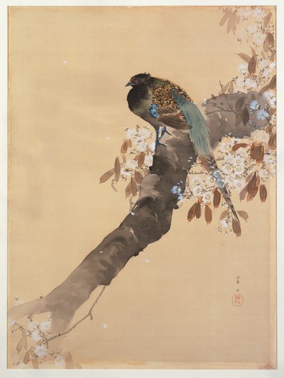 Fasan på körsbärsblomgren av Ohara Koson