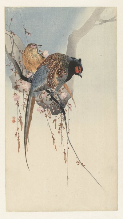 Fasanpar och plommonblomning av Ohara Koson