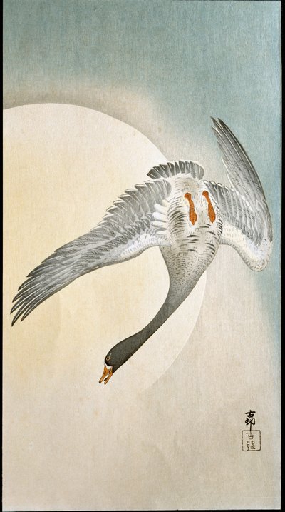 Ankaflyg i månsken Xylografi och japanskt tryck av Ohara Koson (1877-1945) 1908 Privat samling DR av Ohara Koson