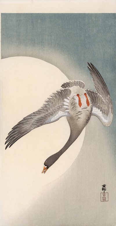 Flygande vispgås sett underifrån framför månen (trätryck i färg) av Ohara Koson