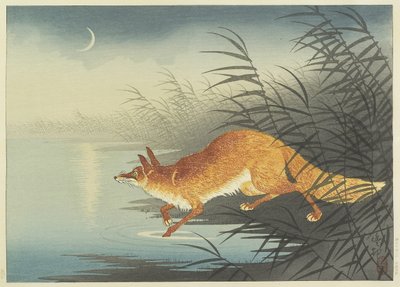 Fox by the Moonlit Water, 1930-tal (trätryck i färg) av Ohara Koson