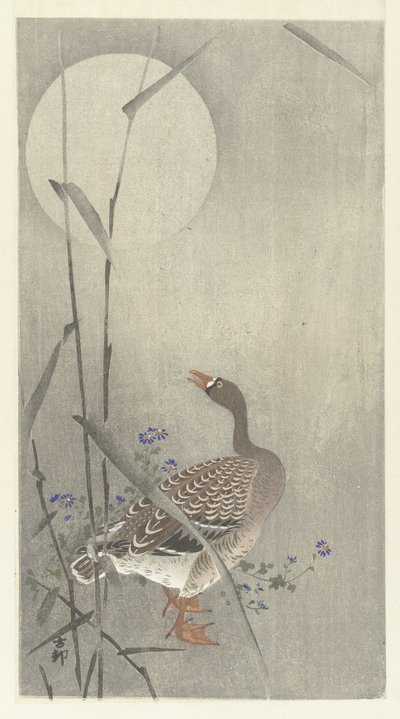 Gås vid fullmåne av Ohara Koson