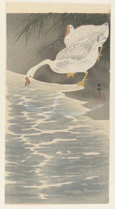 Gäss på stranden av Ohara Koson