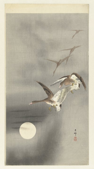 Gäss i flykt av Ohara Koson