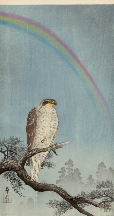Goshawk på en tall med en regnbåge ovanför (träblockstryck i färg) av Ohara Koson
