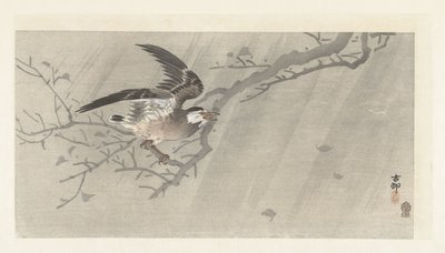 Grå stare i storm av Ohara Koson