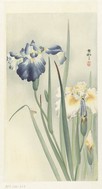 iris av Ohara Koson