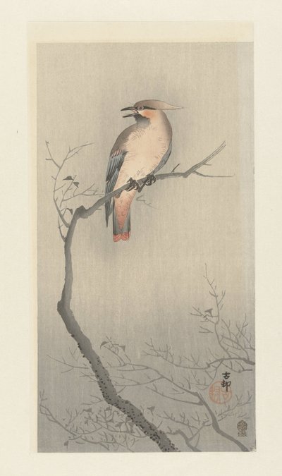 Japansk vaxvinge på gren av Ohara Koson