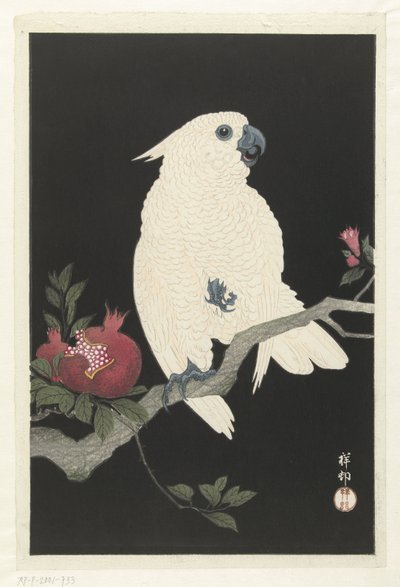 Kakadua och granatäpple av Ohara Koson