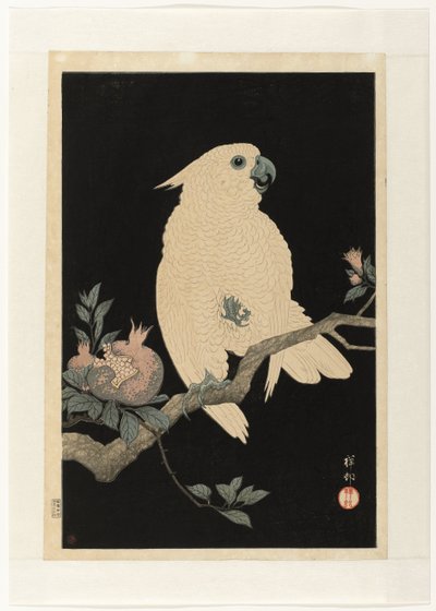 Kakadua med granatäpple av Ohara Koson