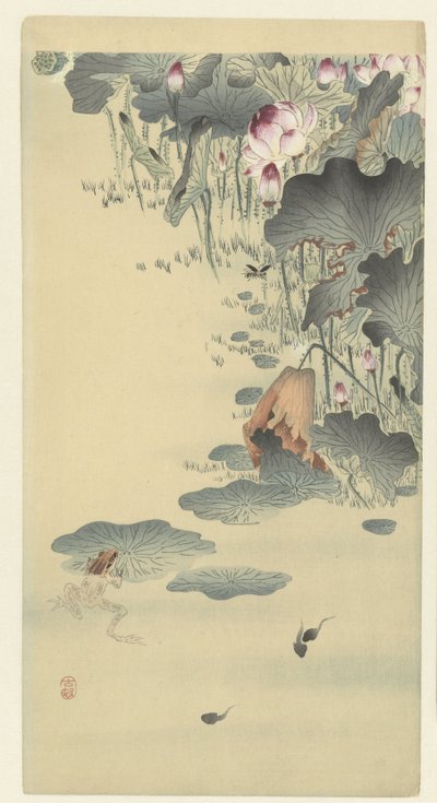 Groda och grodyngel av Ohara Koson