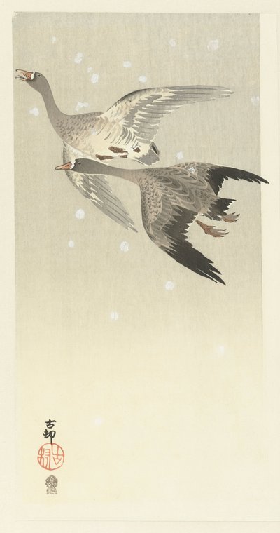 Vitgåss flyger i snön av Ohara Koson