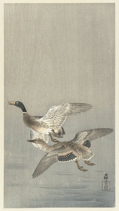 Para ankor av Ohara Koson
