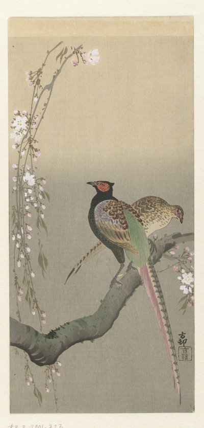 Ett par fasaner och körsbärsblommor av Ohara Koson