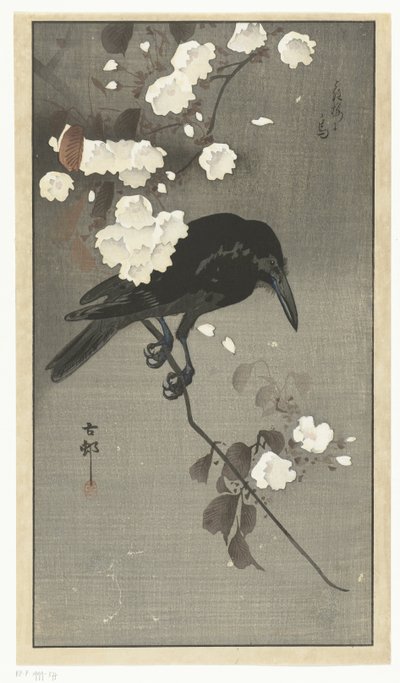 Kråka med körsbärsblom Hana sakura no tori (titel på objekt) av Ohara Koson