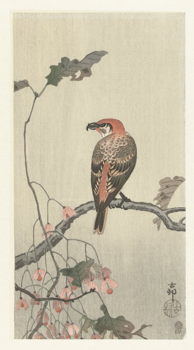 Korsnäbb på trädgren av Ohara Koson