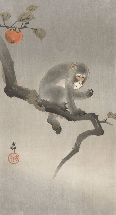Apa i ett fruktträd, 1900-30 (träsnitt i färg) av Ohara Koson