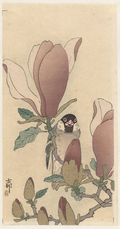 Sparv på blommande magnolia gren av Ohara Koson