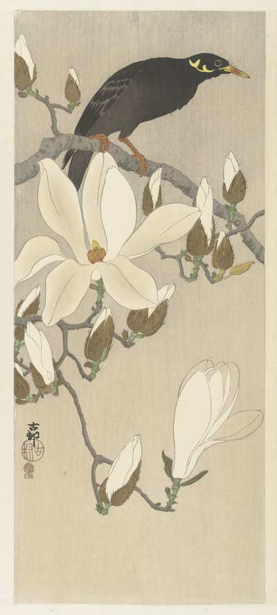 Myna på Magnolia Branch av Ohara Koson