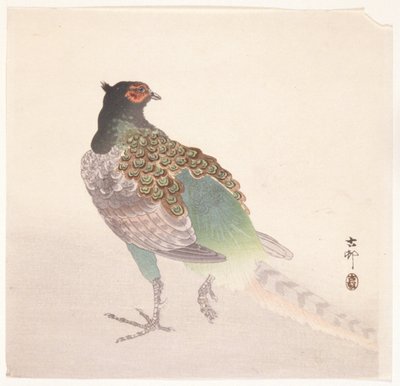 Fasan (träblock i färg) av Ohara Koson