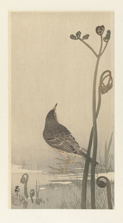 Beeper vid vattnet av Ohara Koson
