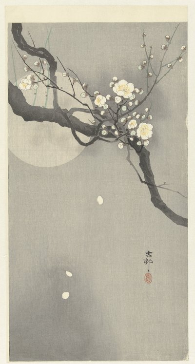 Plommonblomning och fullmåne av Ohara Koson